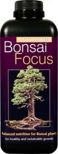 Bonsai Focus 500ml
